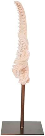 Deco 79 Polystone Starfish Statue with Copper Stand