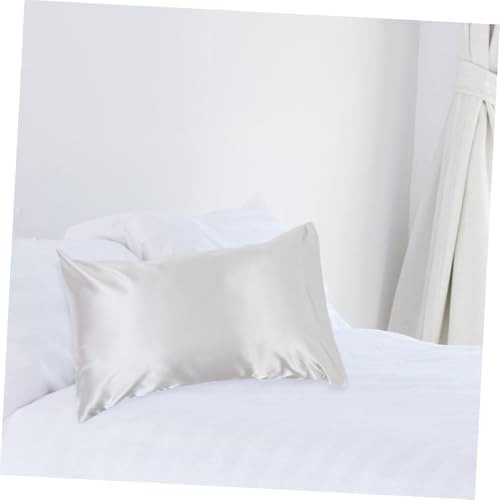 ETHZZLE Queen Cooling Pillow Case with Envelope Closure