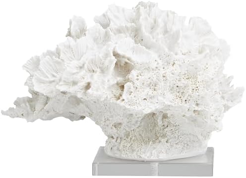 Deco 79 White Coral Sculpture with Acrylic Base