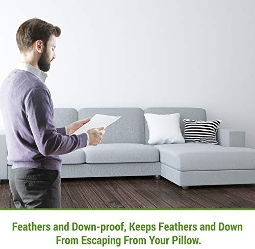 Hudson Comfort Pillow Protector 30x30 Inch 2 Pack Waterproof Zippered