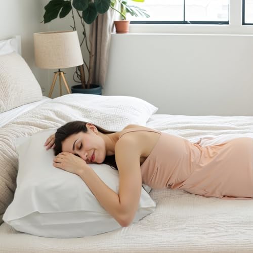 TELUS Cooling Bamboo Rayon Pillowcases 2 Pack