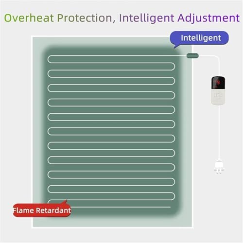 WSNCXFW Graphene Heated Floor Rug 200400cm