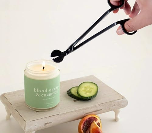 dgudgu Candle Care Kit with Snuffer Trimmer Dipper Storage Tray