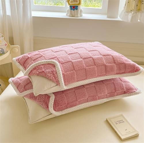 Soft Double Sided Velvet Pillowcase Protector Cover