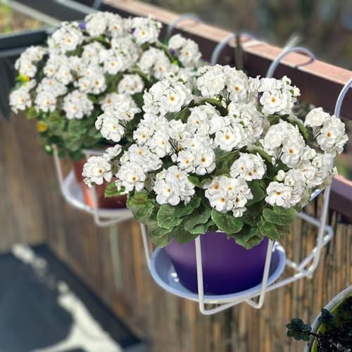 Dremisland 3 Pack Artificial Geranium Flowers UV Resistant