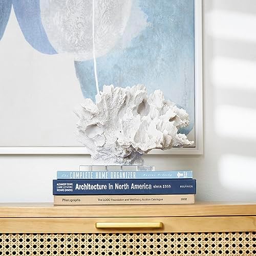 Deco 79 White Coral Sculpture with Acrylic Base