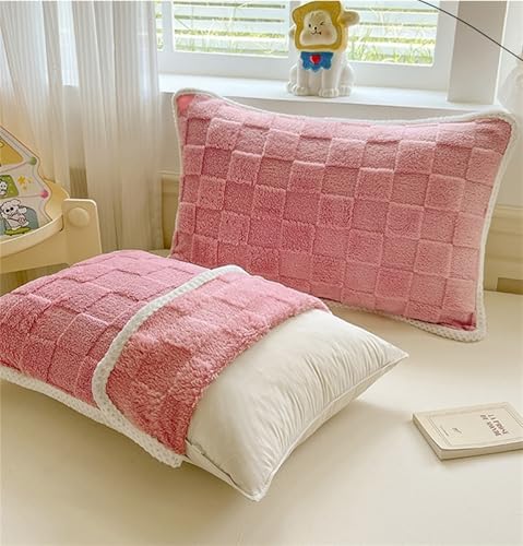 Soft Double Sided Velvet Pillowcase Protector Cover