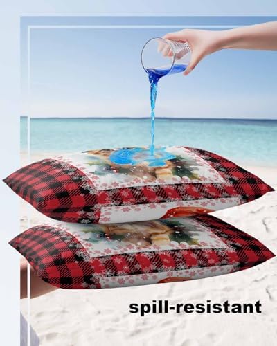 Waterproof Pillow Protector 2 Pack with Zipper 1