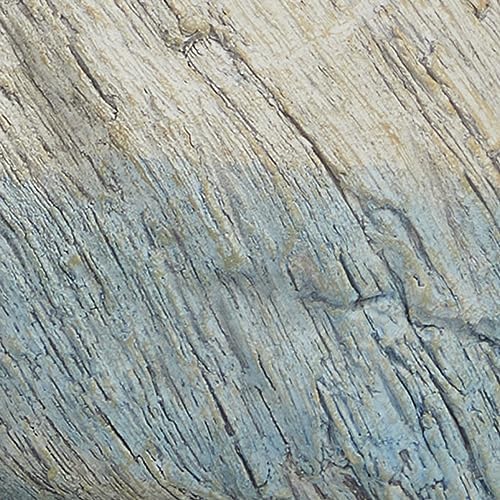 Deco 79 Polystone Blue Bird Statue with Rope Details