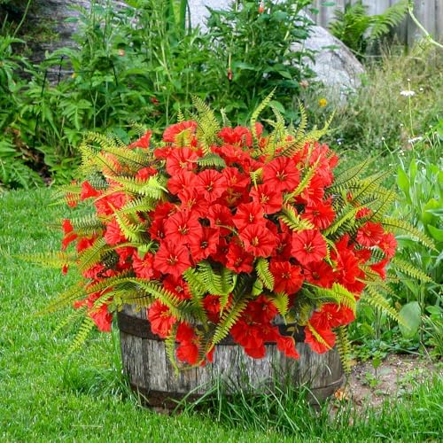 HIAGROW 12 Bundle Red Artificial Flowers with Fern 1